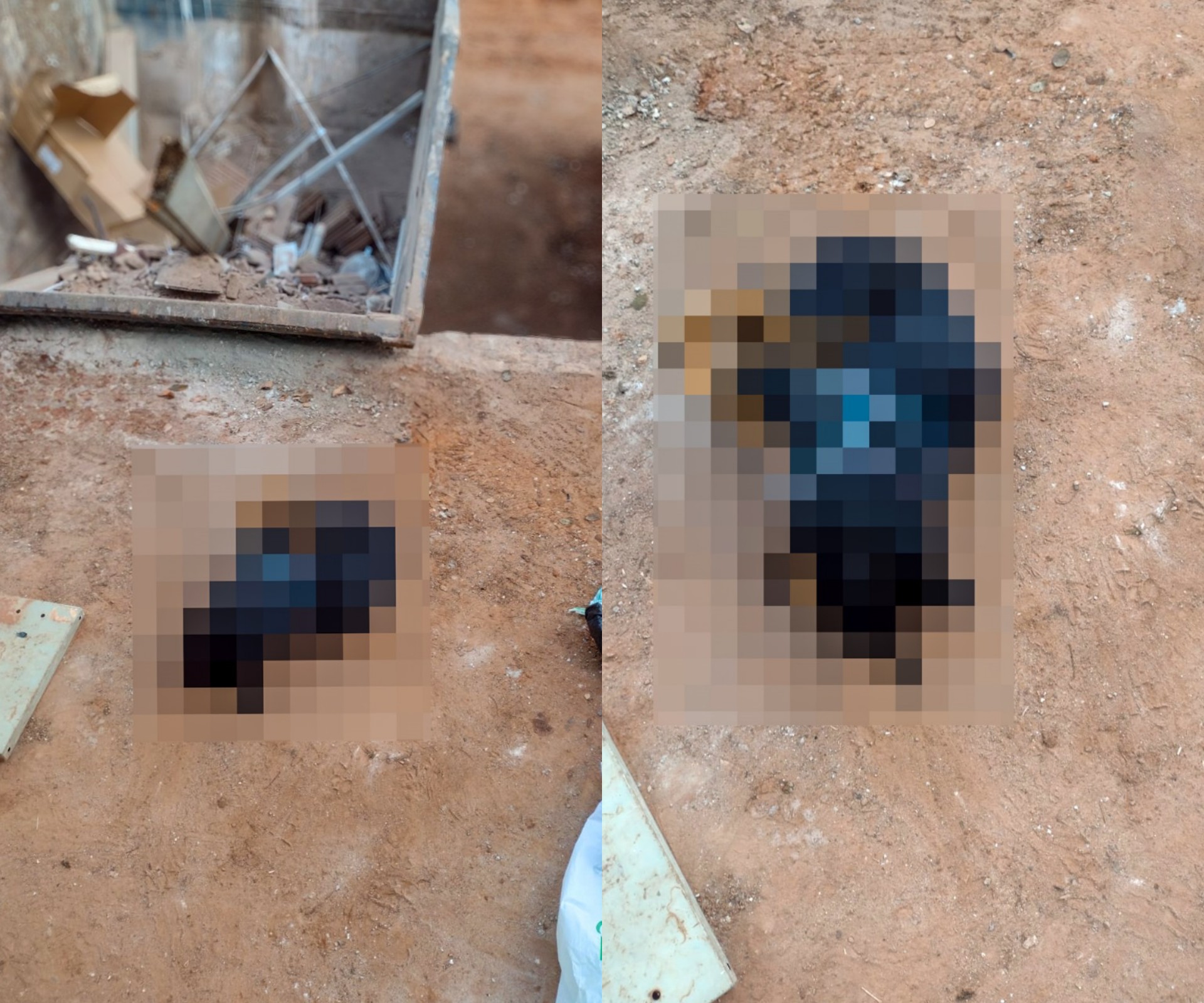 Funcionários encontram corpo de cachorro descartado irregularmente em Ecoponto de Araçatuba 