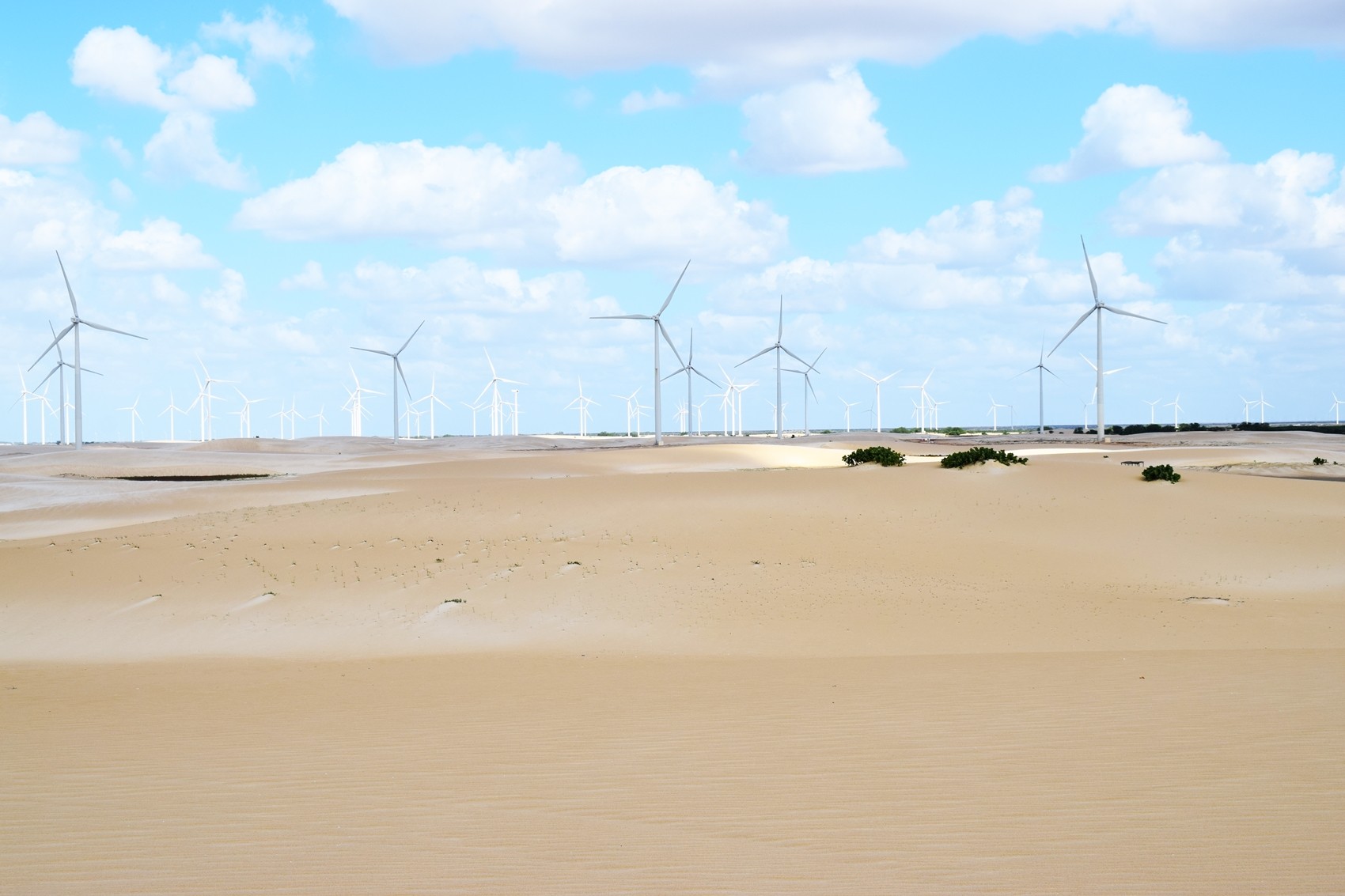 Inmet alerta para ventos fortes que podem movimentar dunas no litoral do RN