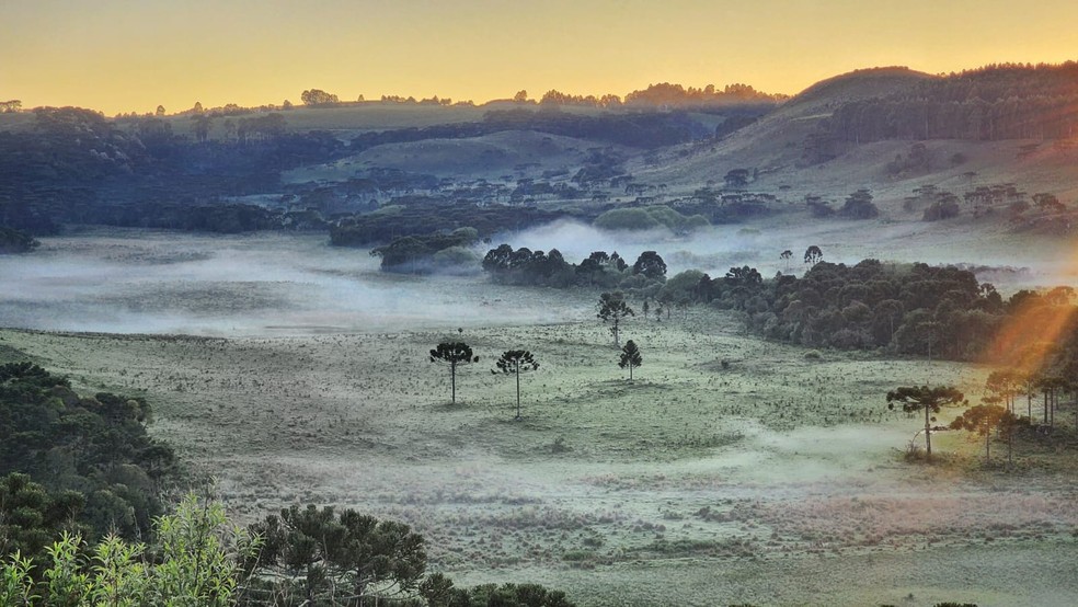 Geada em São Joaquim, na Serra de Santa Catarina, neste domingo (5) — Foto: Mycchel LegnaghiSão Joaquim Online