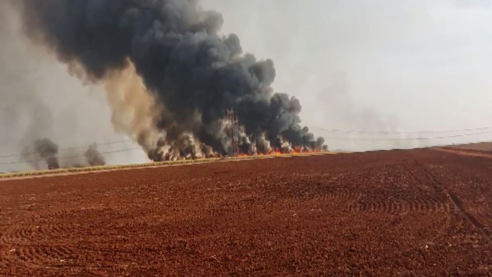 Fogo em plantação da região de Ribeirão Preto (SP) no fim de agosto — Foto: Reprodução/EPTV