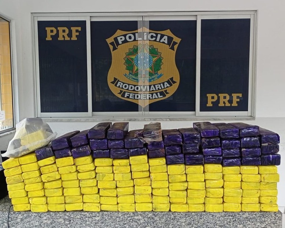 Maconha apreendida pela PRF — Foto: PRF