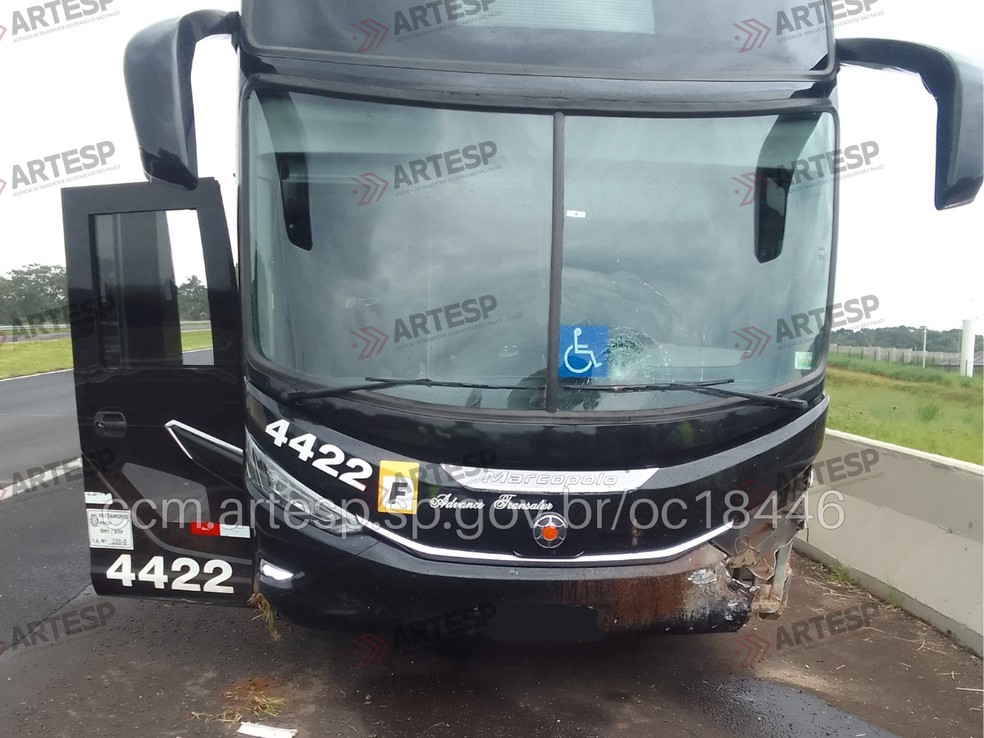 Cantor Latino e equipe sofrem acidente de �nibus na rodovia SP-310 no interior de SP � Foto: CCM - Artesp