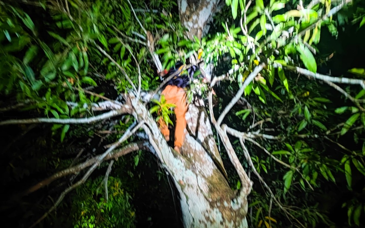 Suspeito de assalto é localizado escondido em árvore e preso no interior do AM
