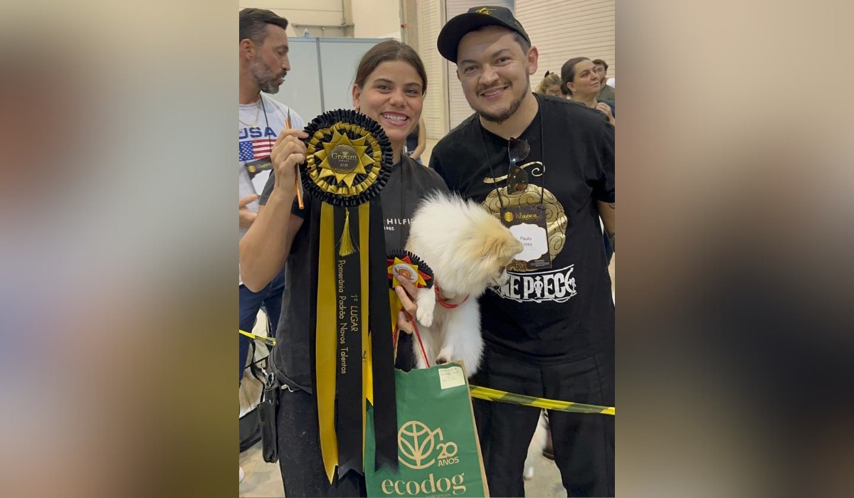 Lulu da Pomerânia do interior de SP é vencedor de campeonato nacional de tosa: 'Veio para ser campeão', diz tutor  