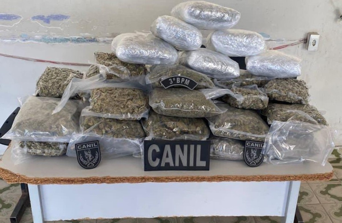 Polícia apreende mais de 10 kg de maconha em mala de ônibus na AL-110, em Arapiraca