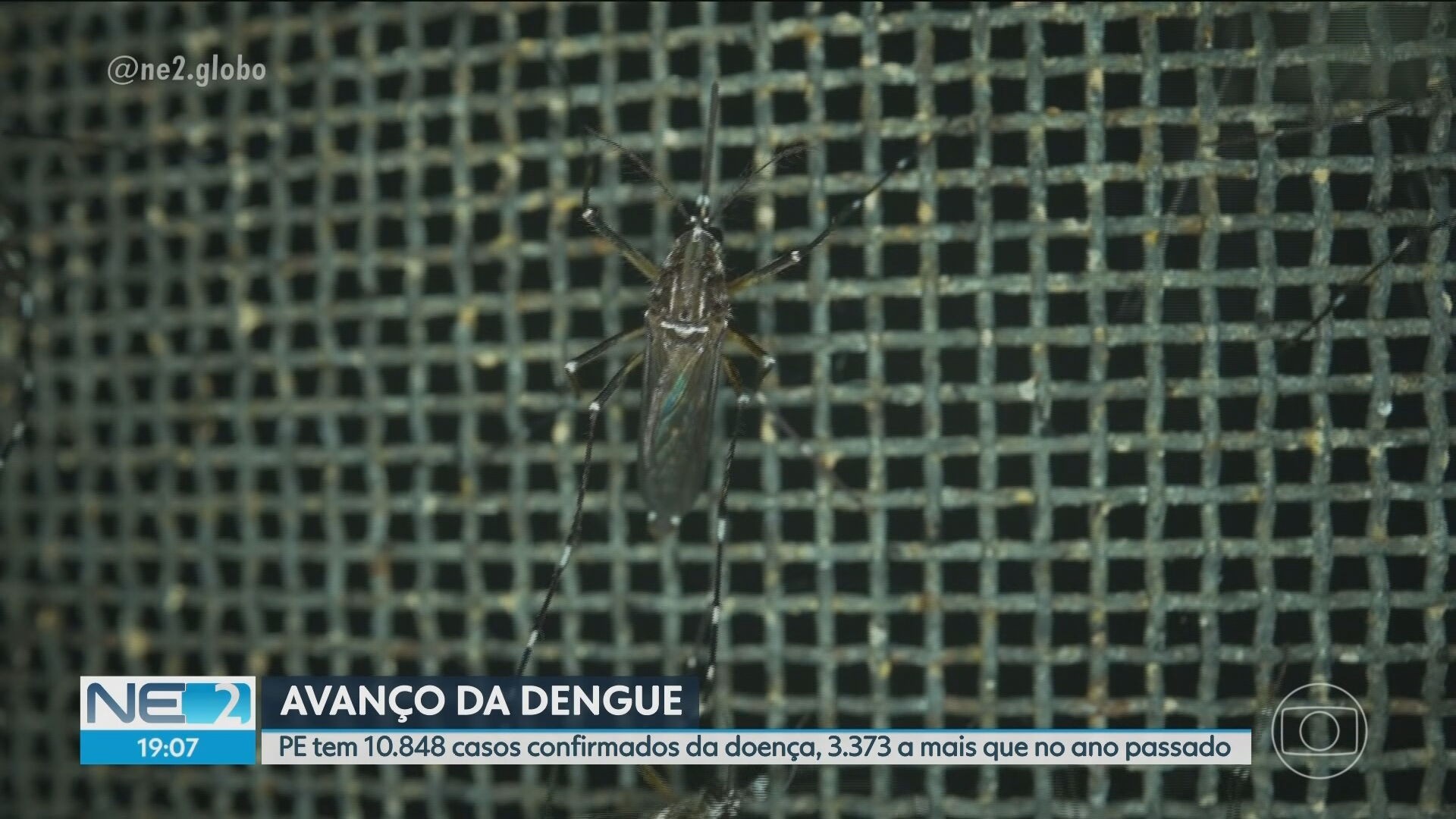 VÍDEOS: NE2 de terça-feira, 8 de setembro de 2026