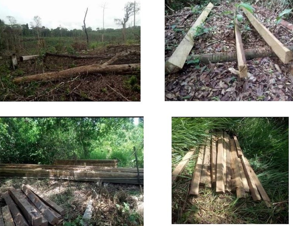 Território Henê Baria Namakia é ameaçado por invasores, diz MPF-AC — Foto: Reprodução