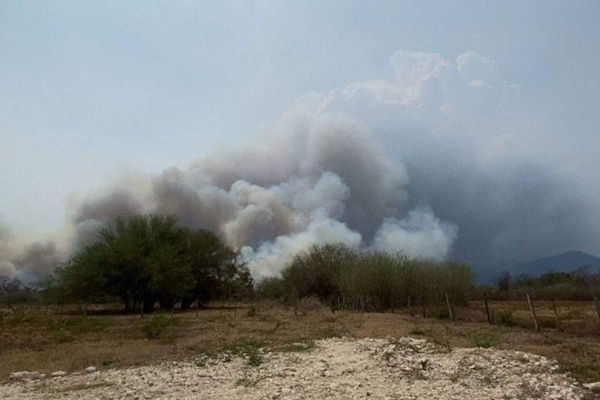 Novo foco de incêndio atinge Área de Proteção Ambiental em MS