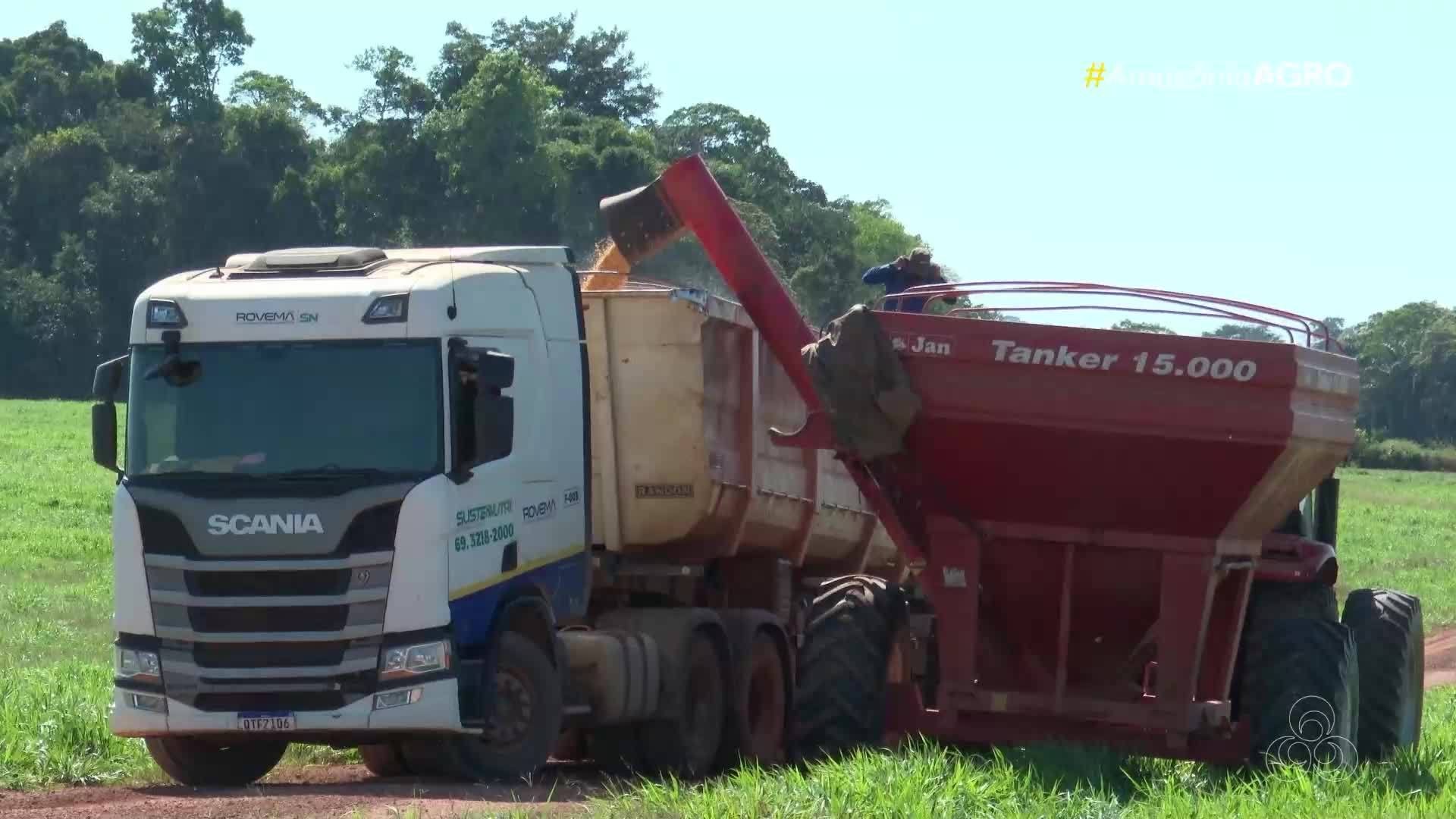 Assista o Amazônia Agro - Rondônia de domingo, 20