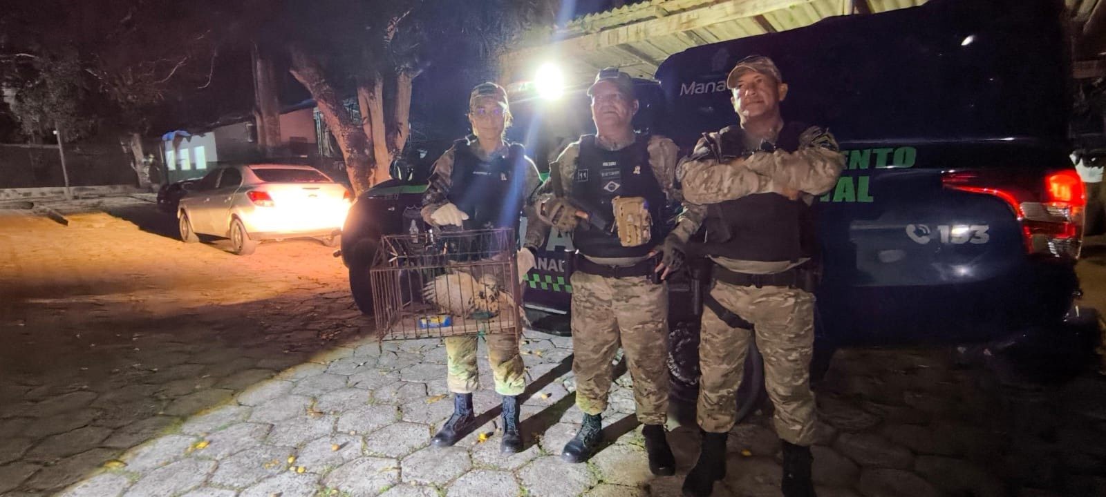 Gavião real é resgatado após cair em bueiro em Manaus; VÍDEO