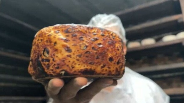 Caverna subterrânea e fungos naturais ajudam produtor a criar queijos premiados em Goiás