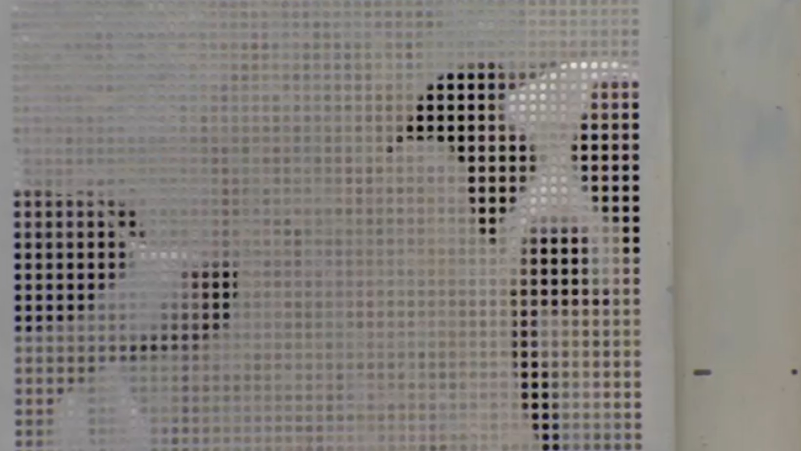 Testemunha diz que homem morto em ataque por cães gritou por socorro