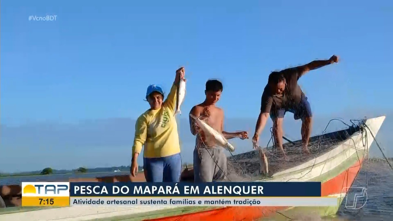 Abertura da pesca do mapará impulsiona economia ribeirinha em Alenquer, no Pará