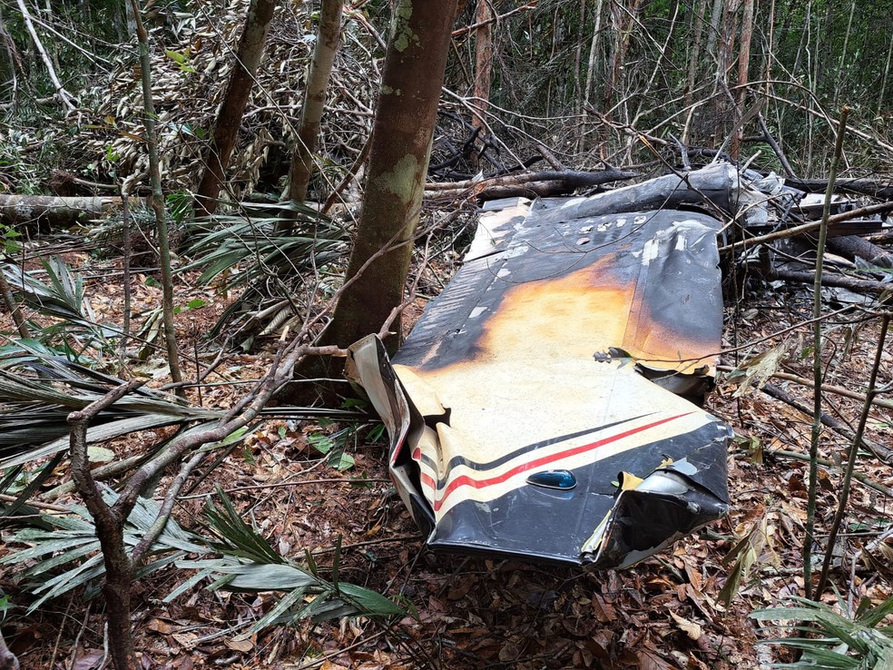 Pedaço do avião interceptado e derrubado pela FAB na fronteira com a Venezuela — Foto: Divulgação
