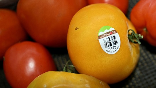 EUA impõem tarifa de 17% sobre o tomate importado do México