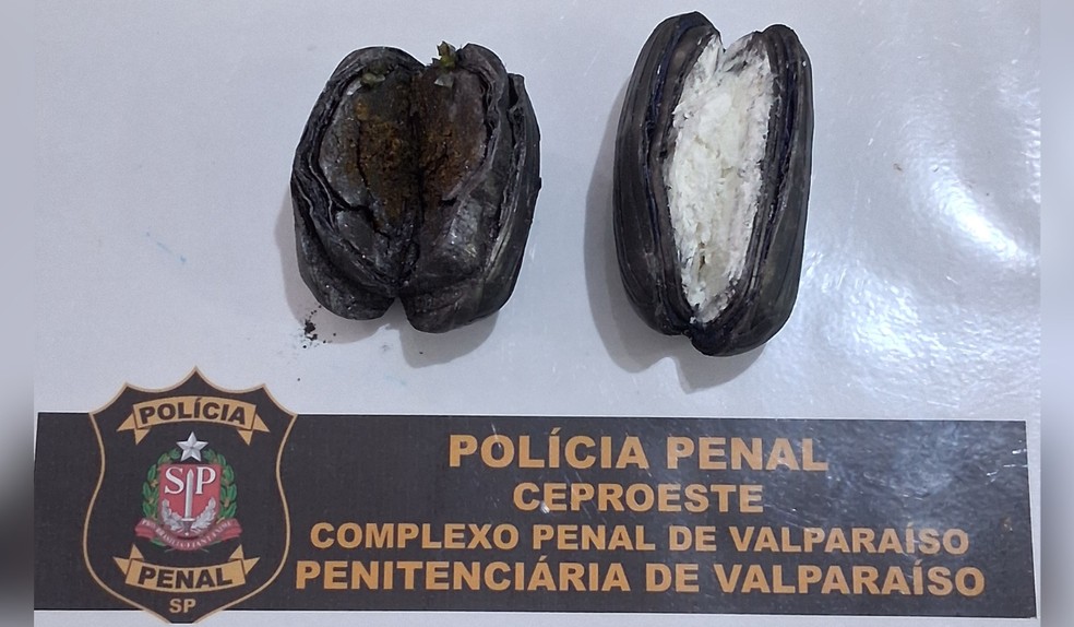 Pol&iacute;cia Penal apreende droga com visitante na Penitenci&aacute;ria de Valpara&iacute;so &mdash; Foto: Pol&iacute;cia Penal/Divulga&ccedil;&atilde;o