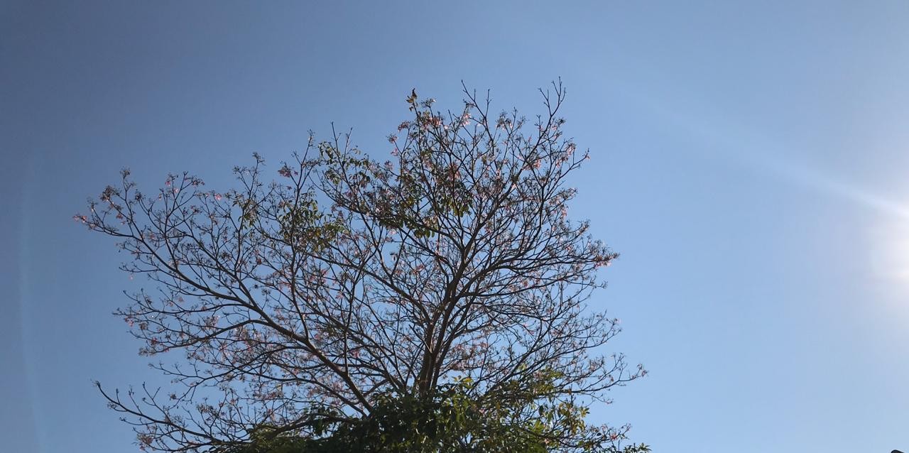 Semana inicia em Rondônia com calor e temperaturas de até 35°C; veja a previsão do tempo