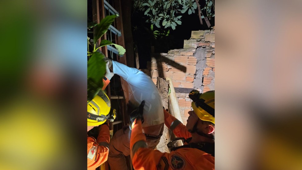 Idoso &eacute; resgatado ao subir em p&eacute; de goiaba em Patos de Minas &mdash; Foto: Corpo de Bombeiros/Divulga&ccedil;&atilde;o