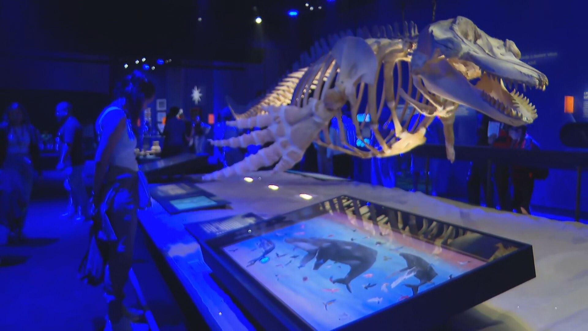 Museu do Amanhã completa 10 anos com estreia de exposição sobre oceanos