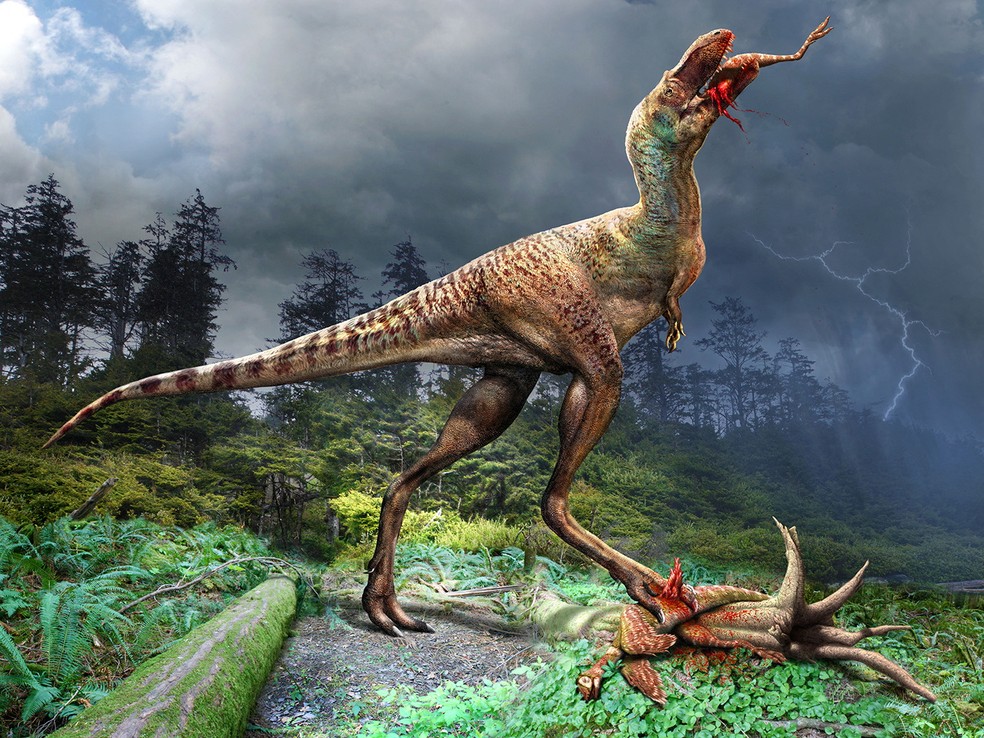 Novo T-rex: cientistas descobrem fóssil de dinossauro gigante com braços  curtos