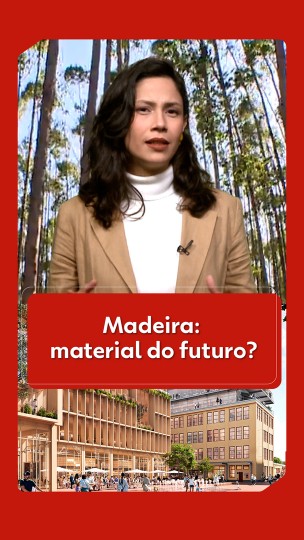 Entenda por que a madeira é considerada o futu...