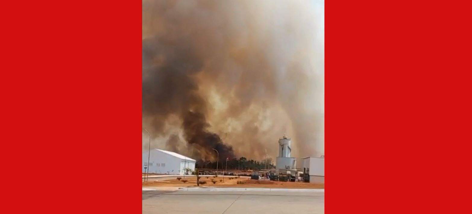 VÍDEO: Incêndio atinge canavial e fogo se aproxima de cervejaria em Uberaba