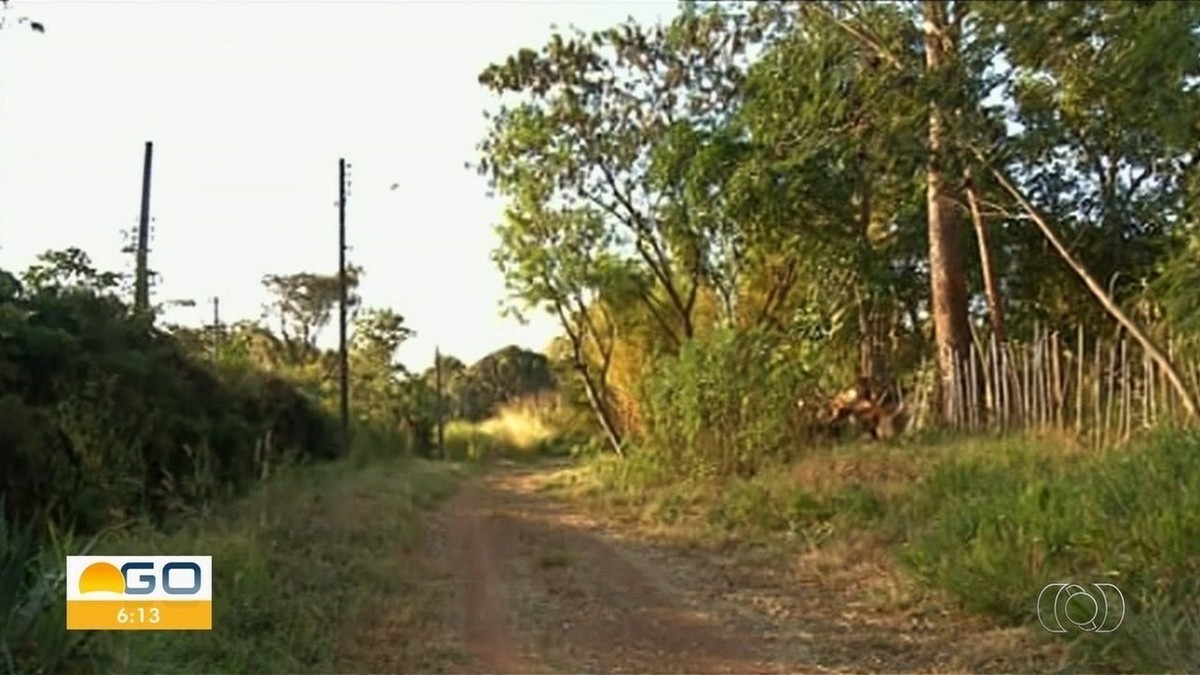 Polícia Apura Se Corpos Encontrados Em Mata São De Pai E Filho Desaparecidos Em Luziânia Goiás 8312