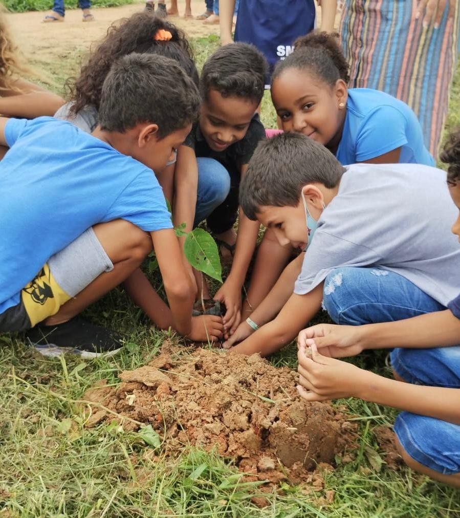 Crianças de 30 municípios do Norte de Minas participam de plantio simultâneo de mudas de árvores 