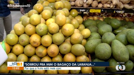 Especialista explica as causas associadas ao aumento de preço da laranja