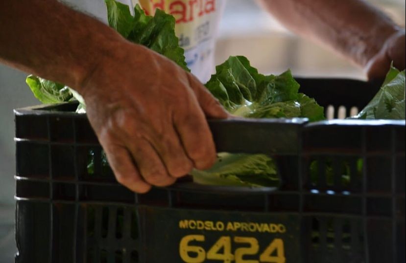 Primeira Feira da Reforma Agrária tem programação voltada à agricultura familiar em Uberlândia