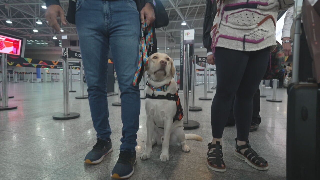 Veja imagens do reencontro do cachorro Teddy com criança autista em Portugal