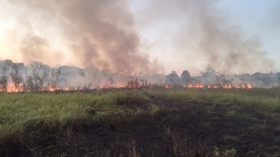 1 de 2
Inc&ecirc;ndio em uma &aacute;rea de vegeta&ccedil;&atilde;o, em Vera Cruz (SP), mobilizou equipes do Corpo de Bombeiros e da Defesa Civil Municipal, na tarde de quarta-feira (6). &mdash; Foto: Corpo de Bombeiros