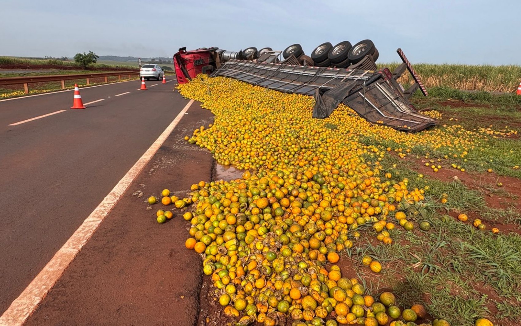 Caminhão tomba e espalha carga de laranjas em rodovia de Miguelópolis, SP