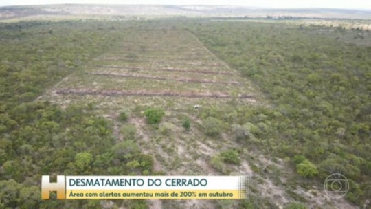 Ibama | Tudo Sobre | G1