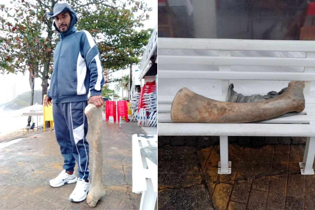 Osso gigante é encontrado enterrado em praia no litoral de SP; VÍDEO