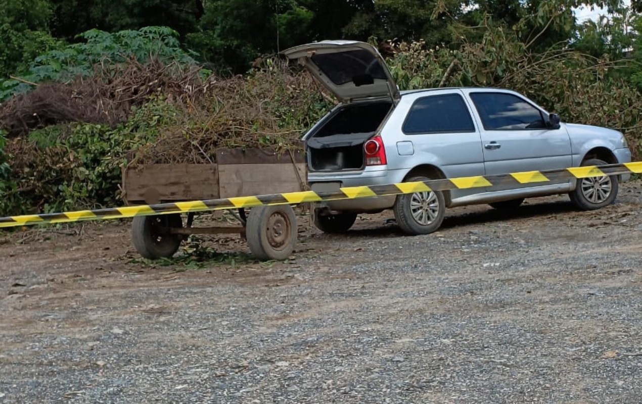 Cão morre e homem fica ferido após ataque de abelhas em condomínio de Salto de Pirapora 