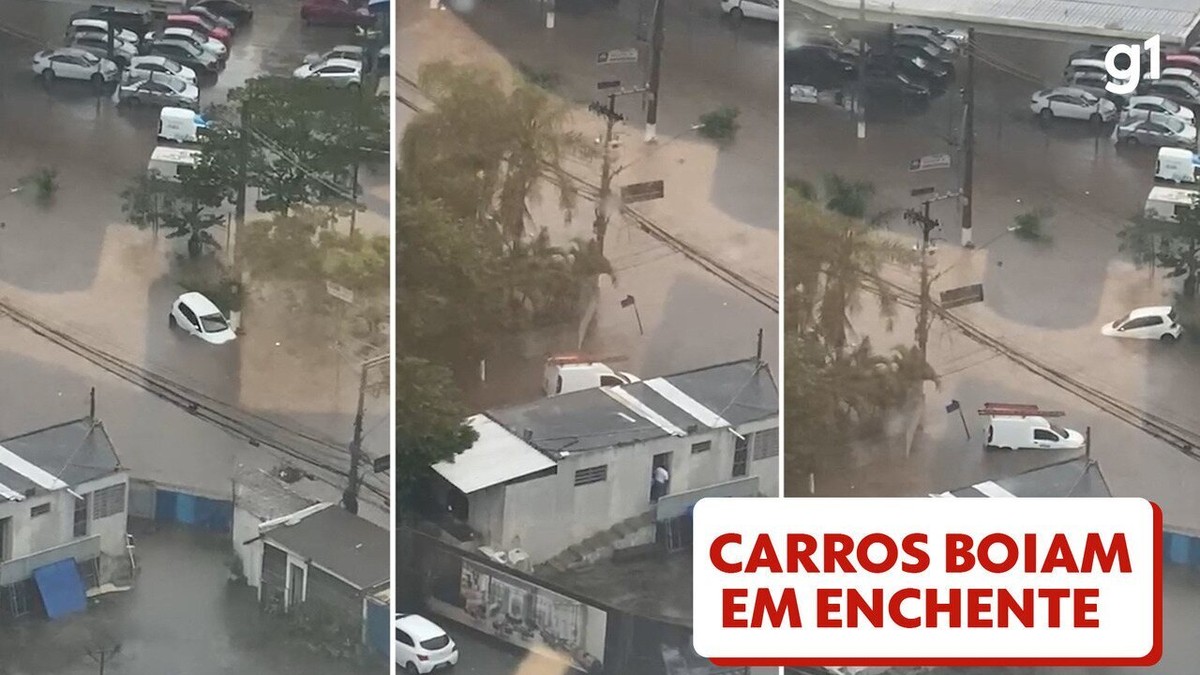 Aula segura rende prêmio a alunos da região de Rio Preto