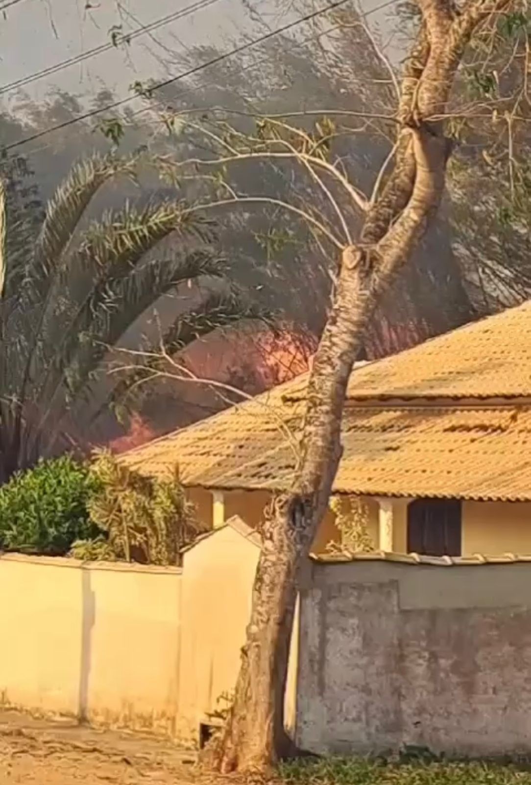 Incêndio atinge área de vegetação próxima de condomínio em Araruama  e assusta moradores 