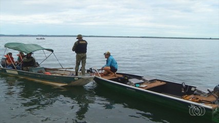 Reprodução de peixes no Tocantins ainda não terminou