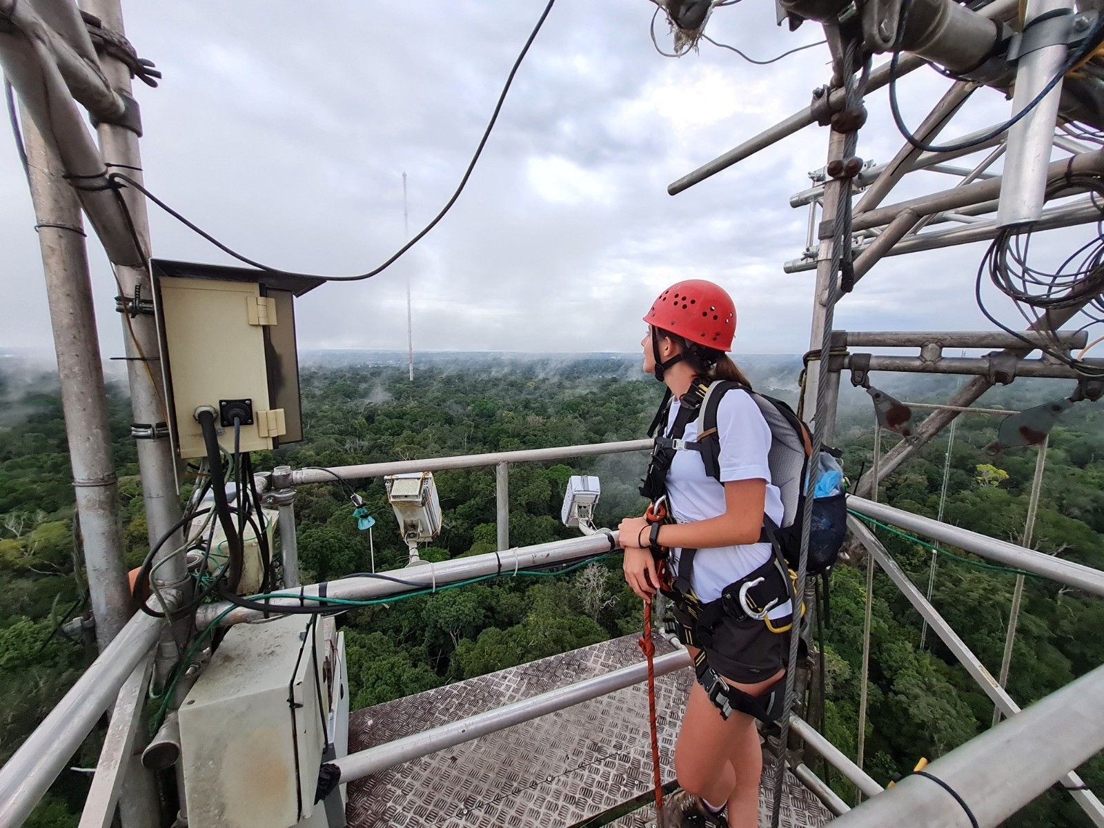 A 325 metros da Amazônia, cientistas encontram vida dentro da névoa