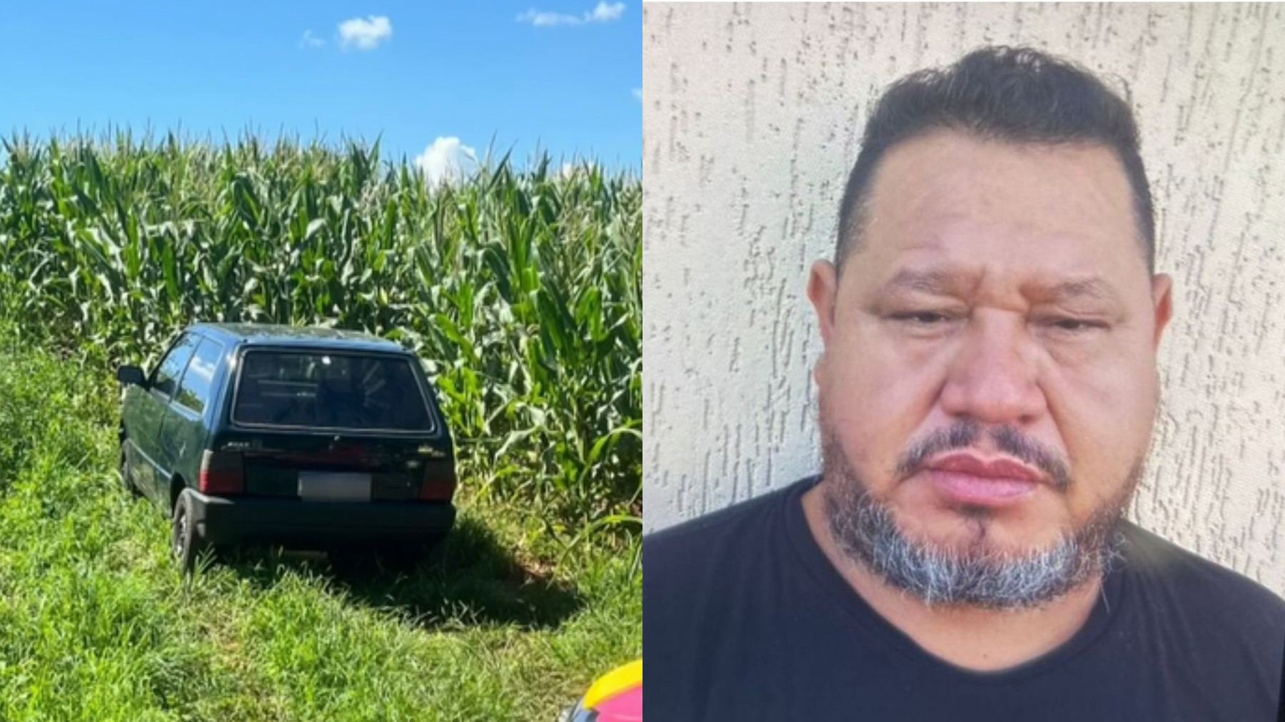 Homem sai de casa para observar aves no Paraná, passa 24 horas desaparecido e é encontrado com cervical quebrada após cair de árvore