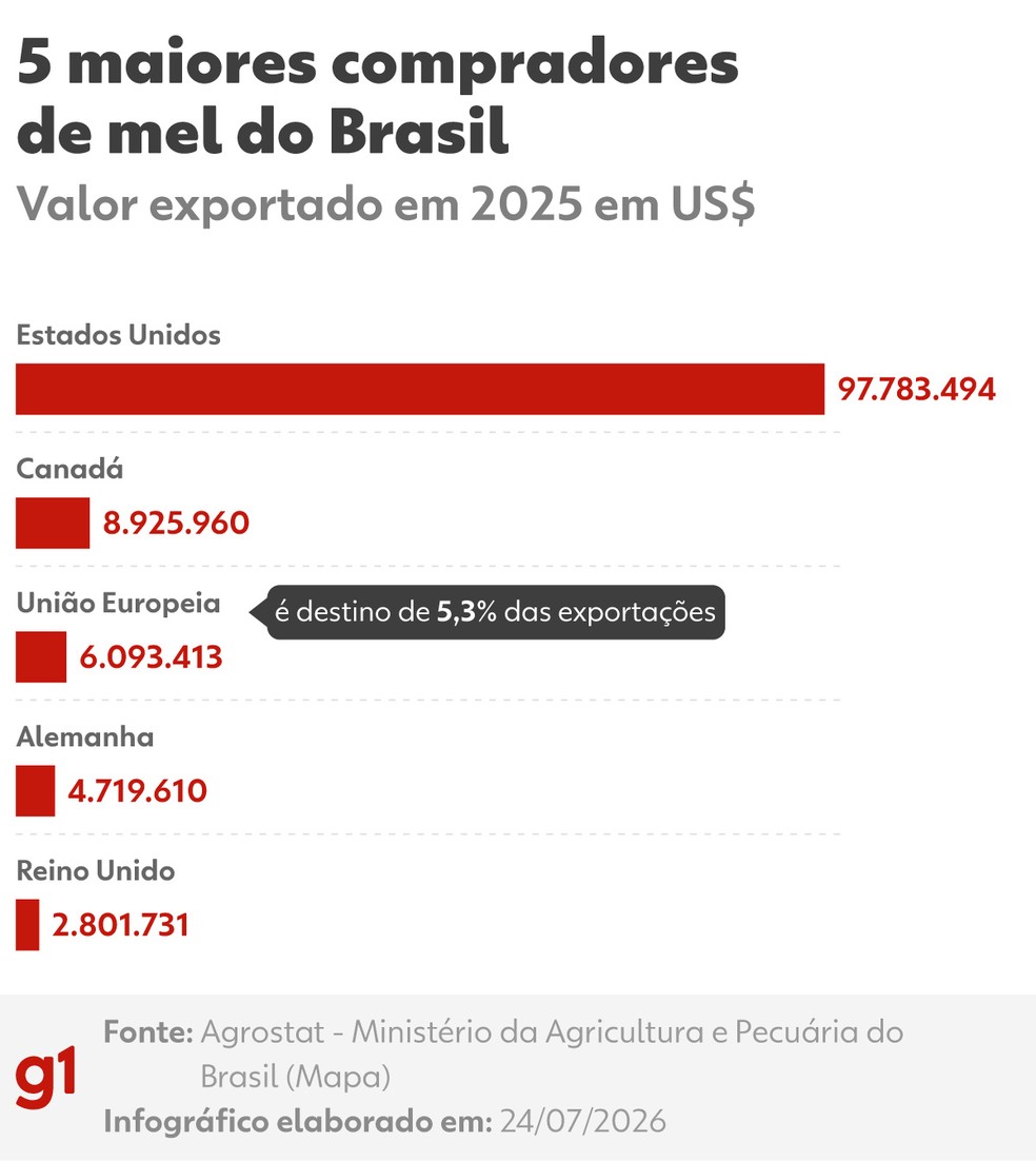 5 maiores compradores de mel do Brasil. — Foto: Arte/g1