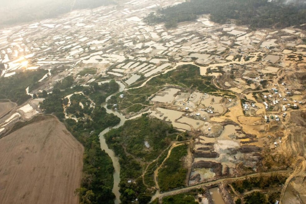 Garimpo ilegal avança na Terra Indígena Sararé em Mato Grosso. — Foto: Fábio Bispo/Greenpeace