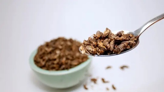 Quantos insetos você precisaria comer para substituir frango, porco ou carne bovina? - Algumas gastronomias, como as da Tailândia, China e México, incluem insetos em suas receitas há muitos séculos.
