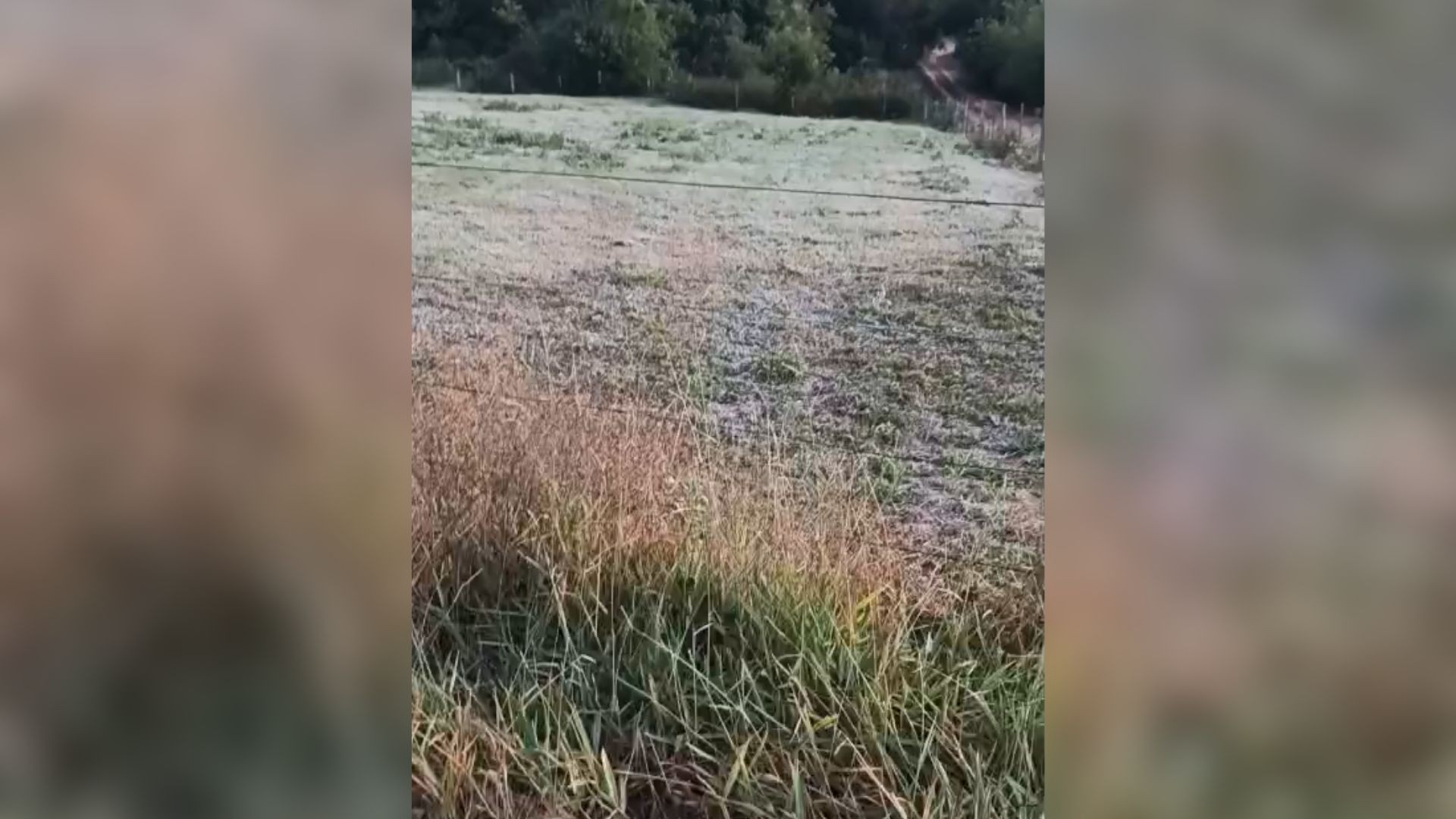 Região de Bauru registra geada e temperatura na casa de 1ºC durante frente fria