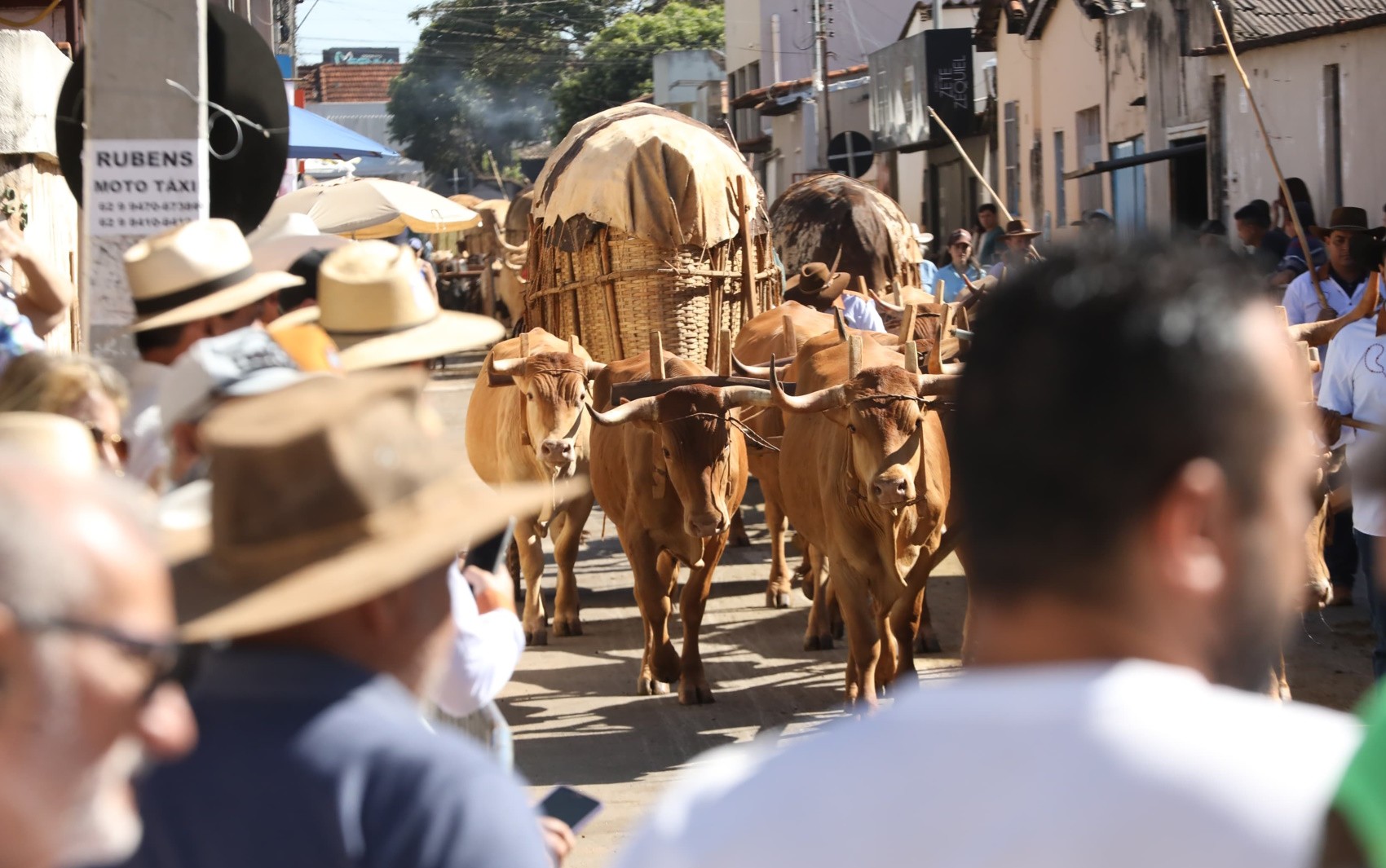 Patrimônio Cultural Brasileiro, desfile reúne mais de 450 carros de boi e causa comoção durante a Romaria do Divino Pai Eterno