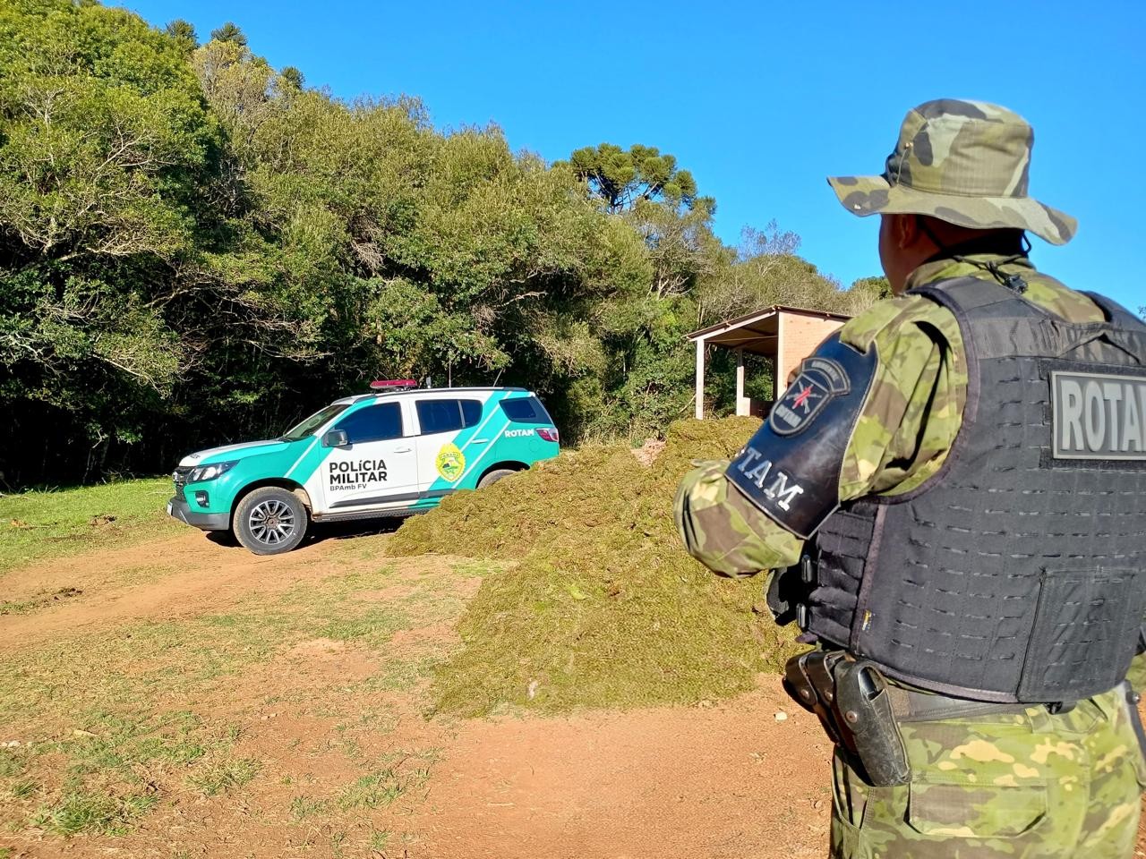 Agricultor será processado por arrancar musgo de plantação na região da Serra da Esperança, no Paraná; entenda porque é crime