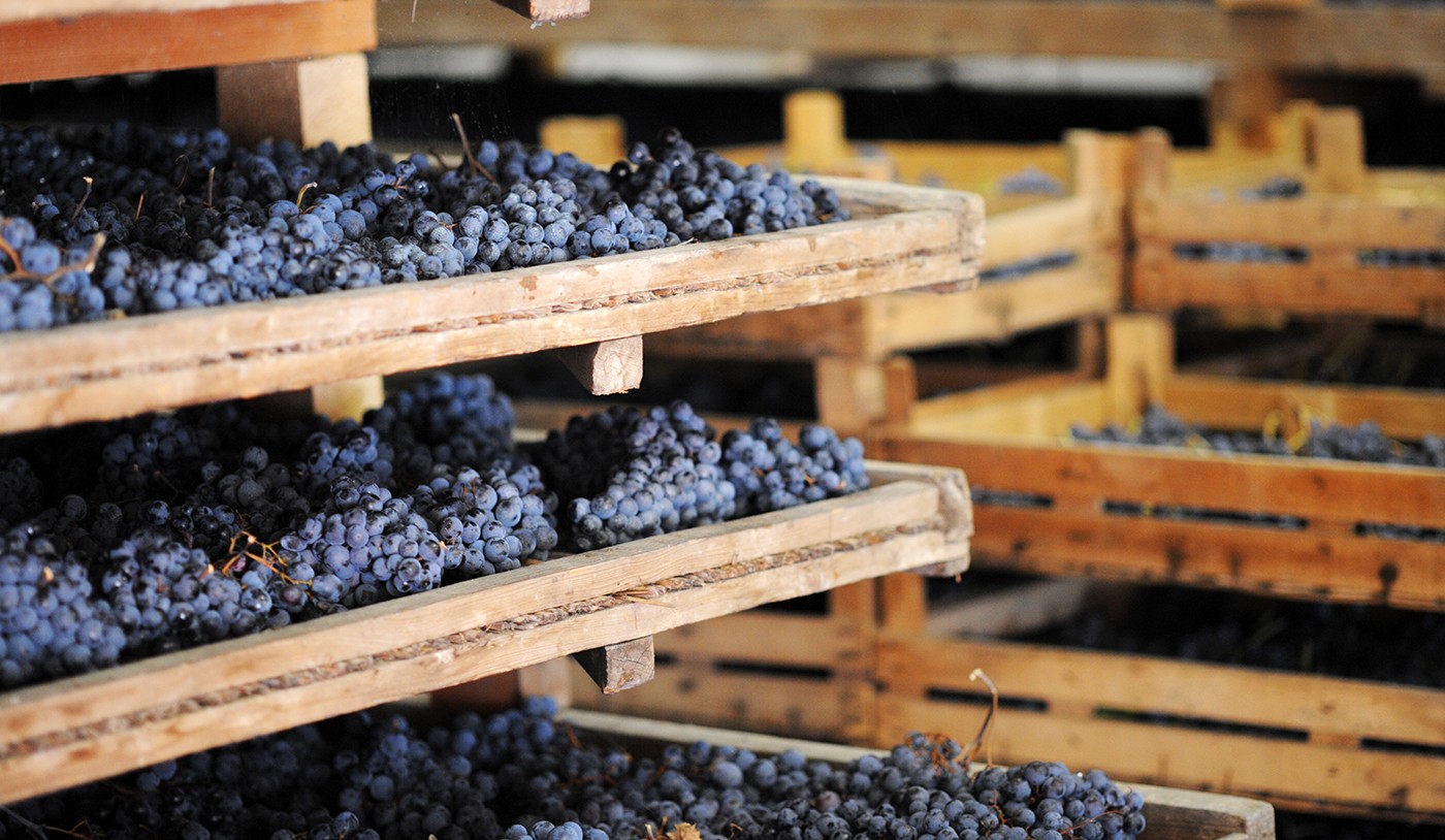 Appassimento dos vinhos: conheça a técnica que produz rótulos famosos