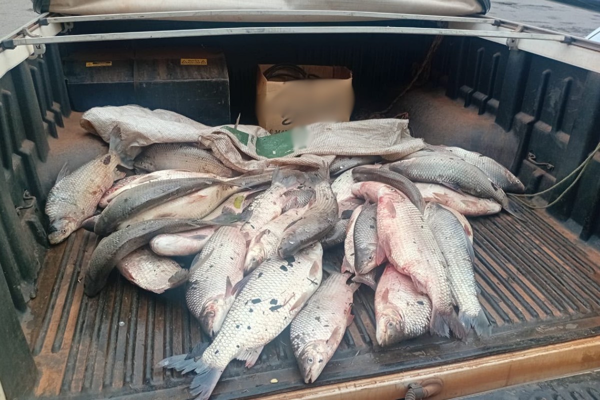 Pesca em local proibido termina com apreensão 85 kg de peixes e multa de R$ 5,7 mil no interior de SP