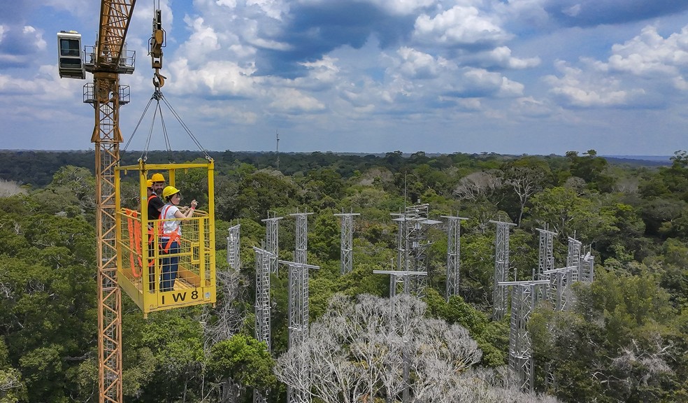 Experimento vai avaliar como maior floresta tropical do mundo vai reagir ao aumento de concentração de dióxido de carbono na atmosfera — Foto: Audiovisual G20